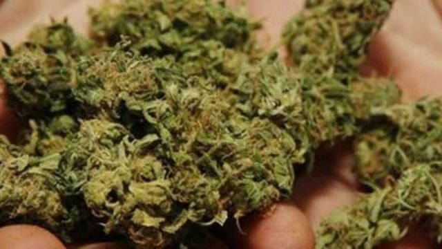 Lee más sobre el artículo Short and Long-Term Effects of Cannabis on Symptoms of Post-Traumatic Stress Disorder