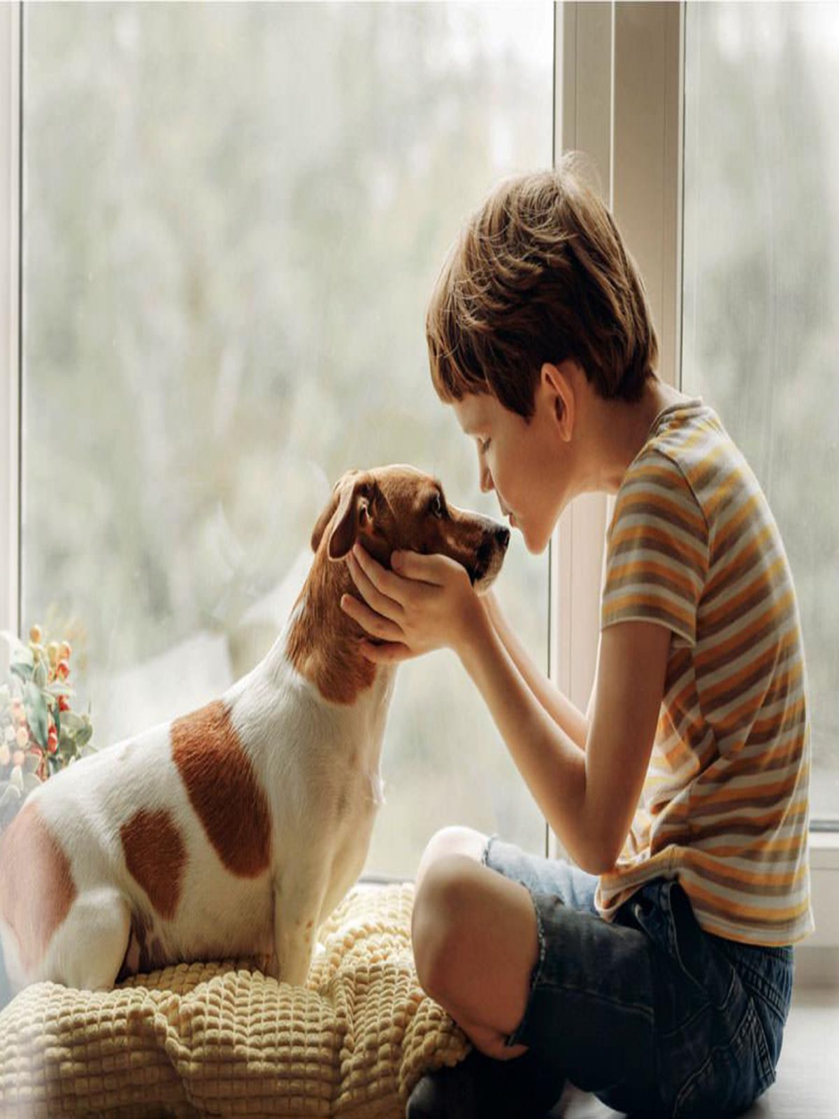 beneficios-mascotas-ninos